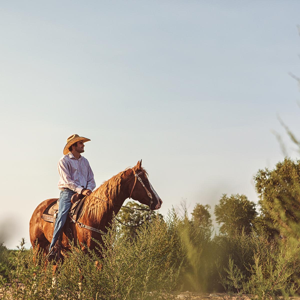 Deseret Ranch