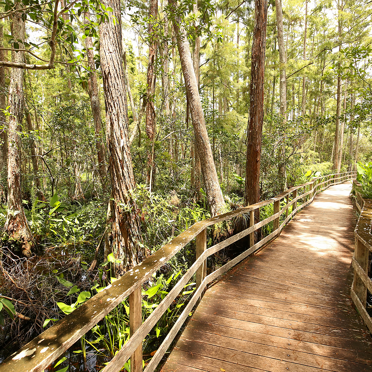 Turkey Creek Sanctuary