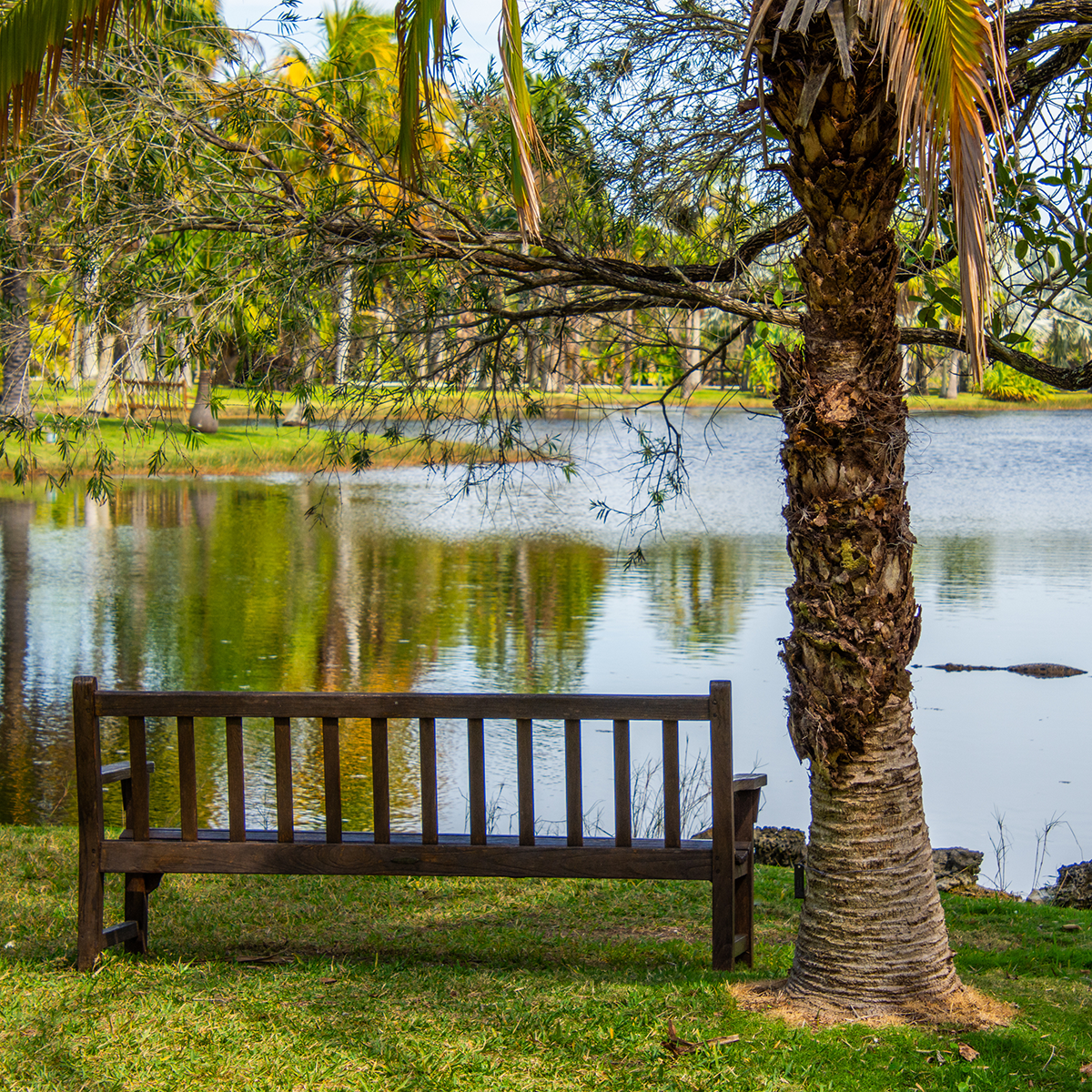 Waterfront Park
