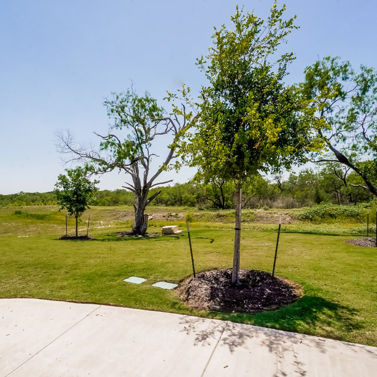 Local Parks & Trails