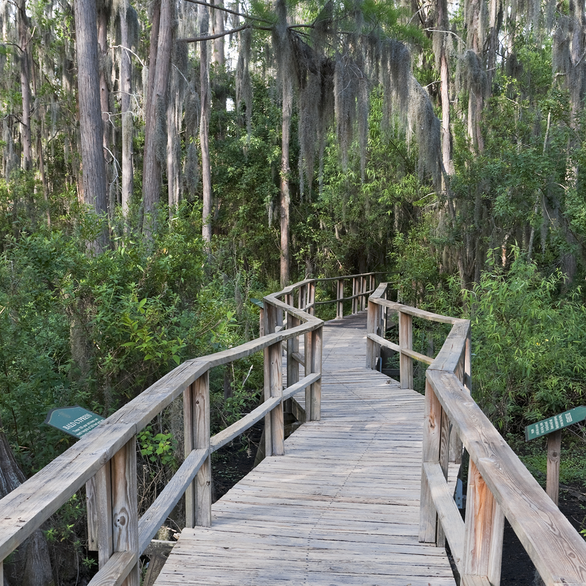 Alafia Scrub Nature Preserve