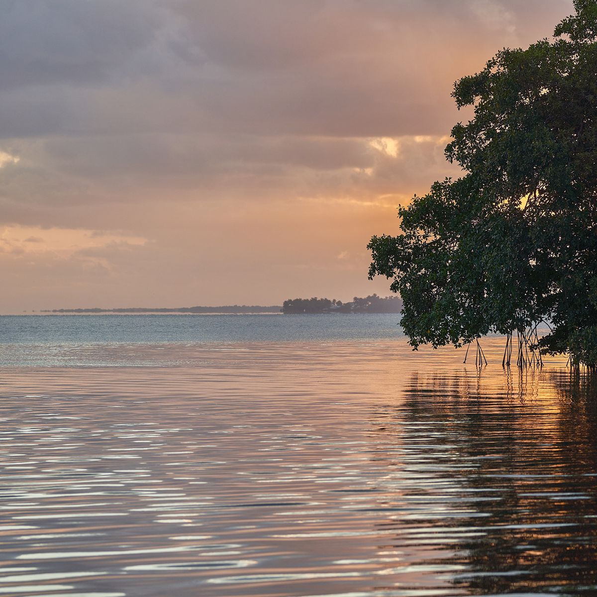 Indian River Lagoon
