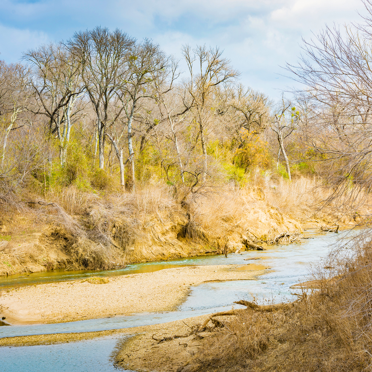 River Legacy Park