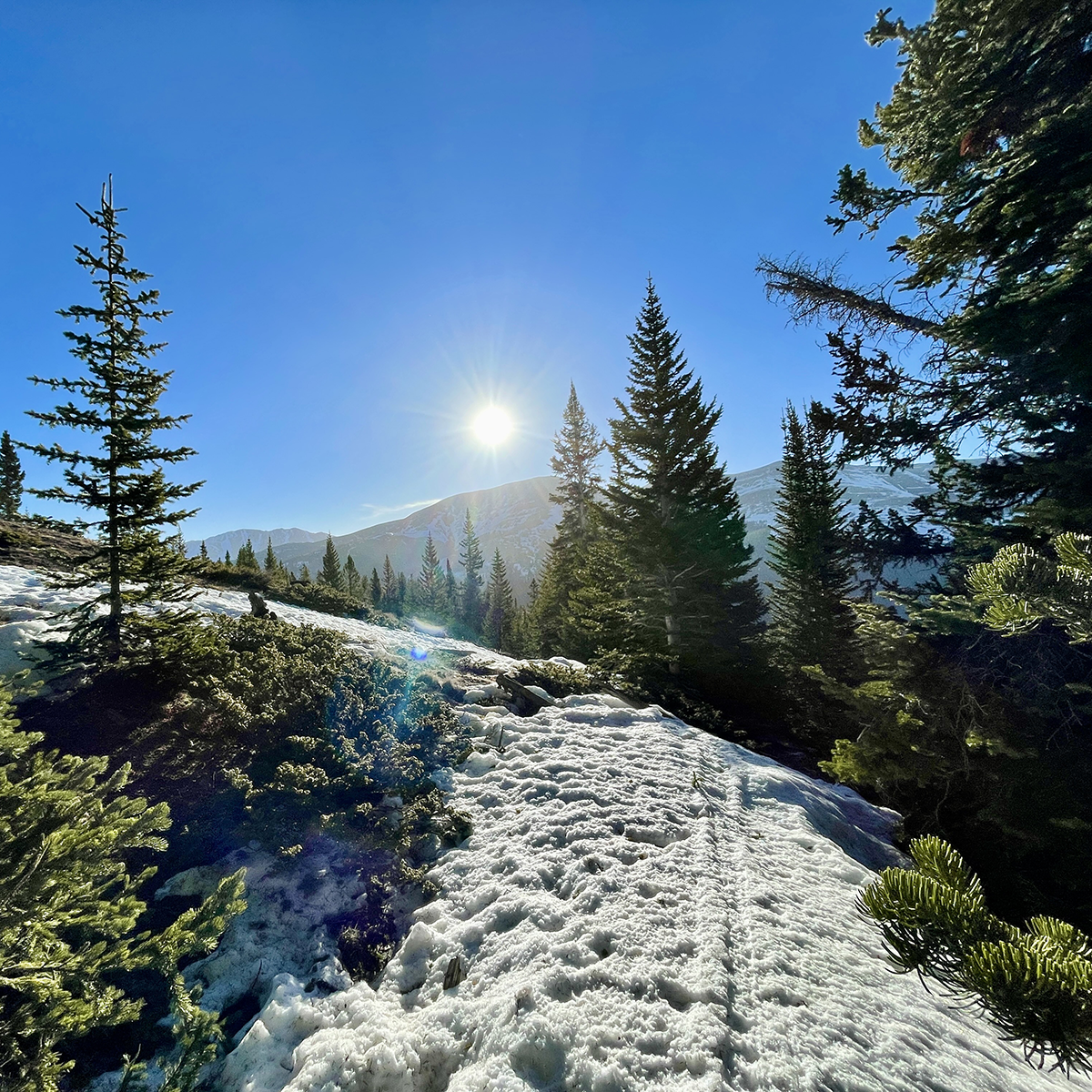 Hwy. 24 Outdoor Corridor